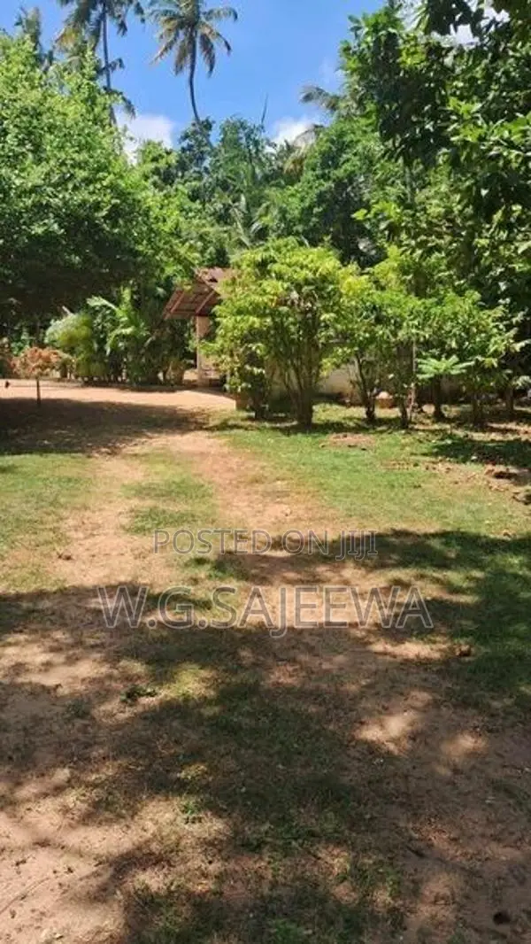 295 Perch Land for Sale in Katuneriya