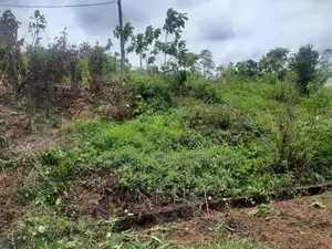 Land for Sale in Matugama