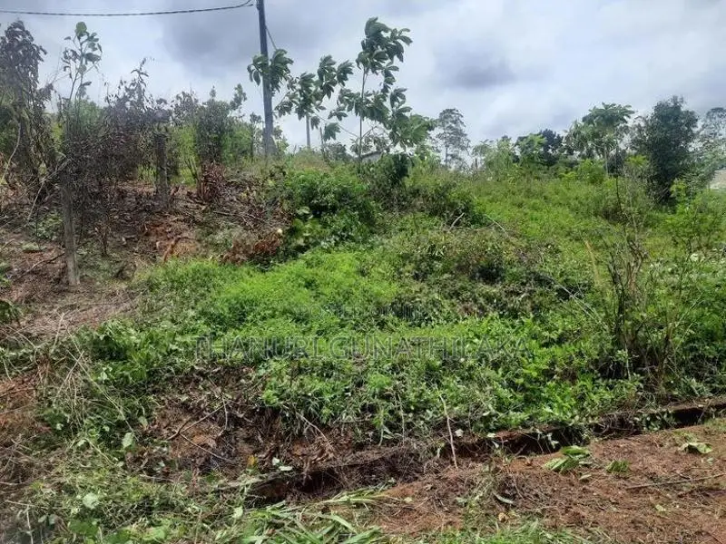 Land for Sale in Matugama