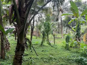 Kiribathgoda Makola Perfect Residential Land for Sale
