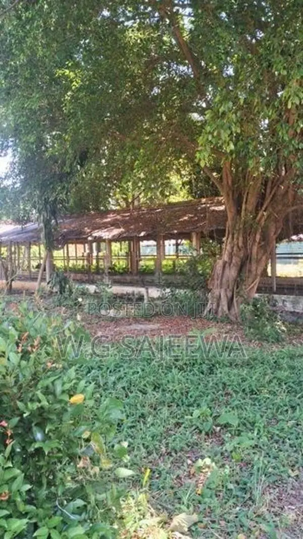295 Perch Land for Sale in Katuneriya
