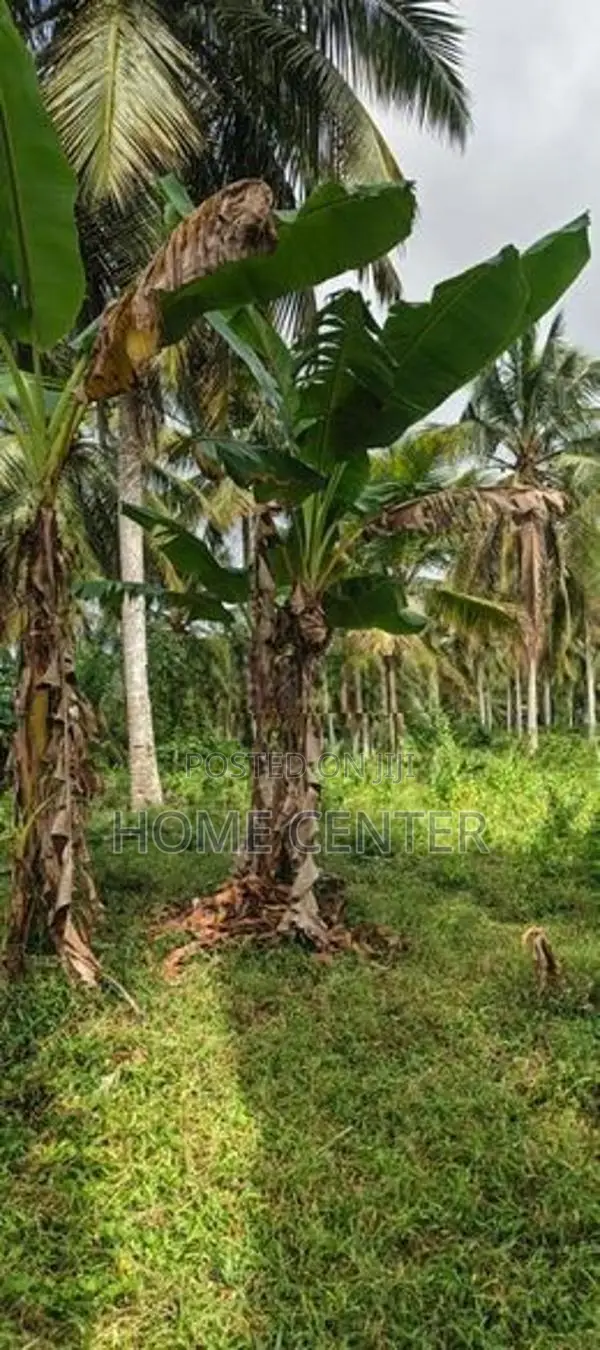 Land for Sale Mount Lavinia