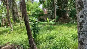 Land for Sale Vijaya Mawatha Bokundara Piliyandala
