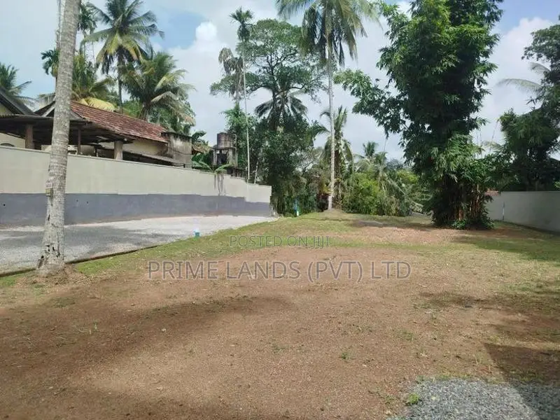හෝමාගම ගලවිලවත්ත බිම් කොටස් විකිණීමට