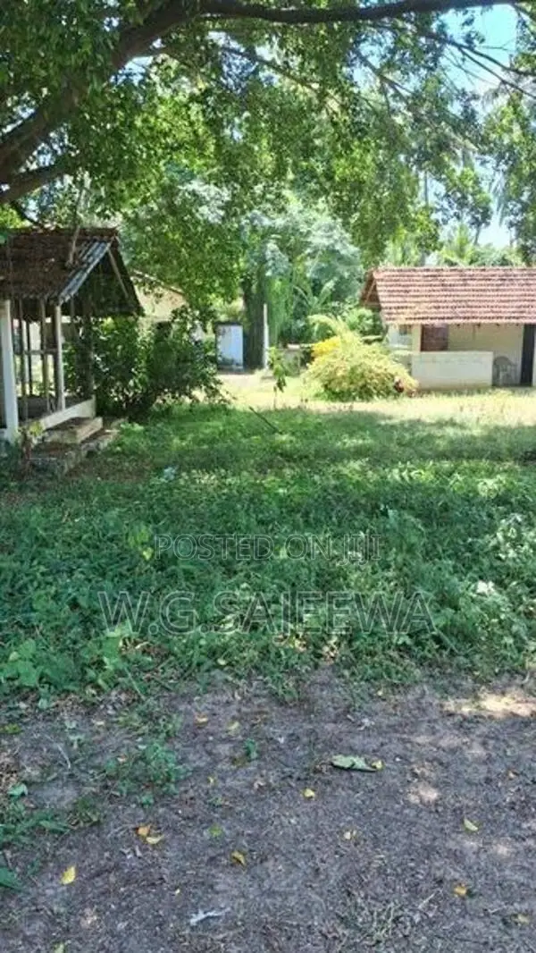 295 Perch Land for Sale in Katuneriya