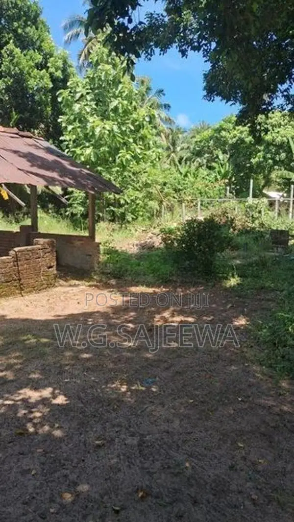 295 Perch Land for Sale in Katuneriya