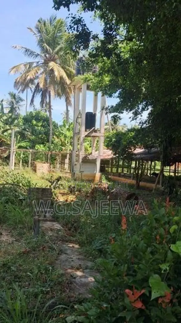 295 Perch Land for Sale in Katuneriya