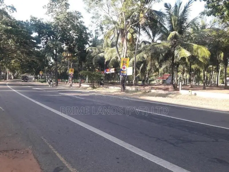 ව්‍යාපාරික හා නේවාසික බිම් කොටස් විකිනීමට අඹගස්වැව