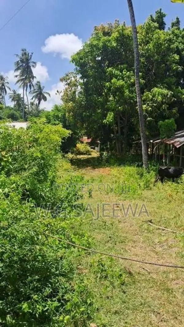 295 Perch Land for Sale in Katuneriya