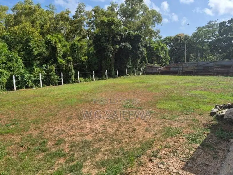 16.5 Perch Land for Sale in Kadirana Tower Side