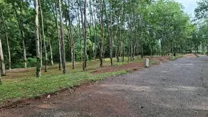 දිවුලපිටිය කුරුණෑගල පහ පාරට ලගින් ඉඩමක්
