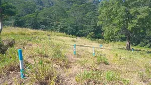 Beautiful Land for Sale Pussellawa