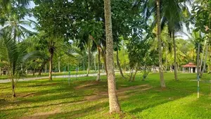 මිනුවන්ගොඩ දෙවොලපල බිම්කොටස්