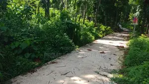 Land for Sale Nelundeiya