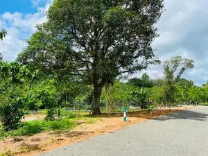 අම්බලන්ගොඩින් බිම් කොටස්