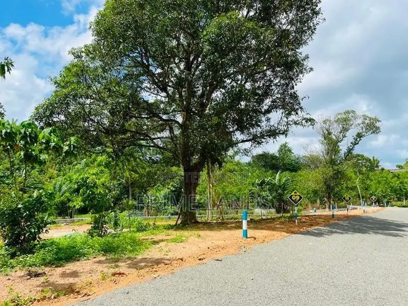 අම්බලන්ගොඩින් බිම් කොටස්