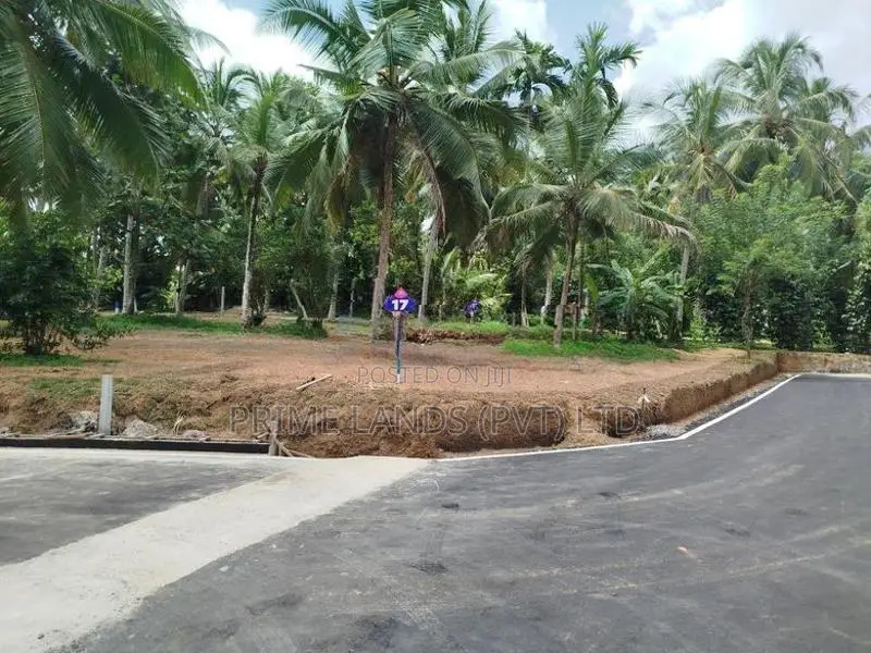 පොල්ගස්ඕවිට මත්තේගොඩ පාරෙන් බිම් කොටස් විකිණීමට
