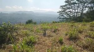 Beautiful Land for Sale Pussellawa