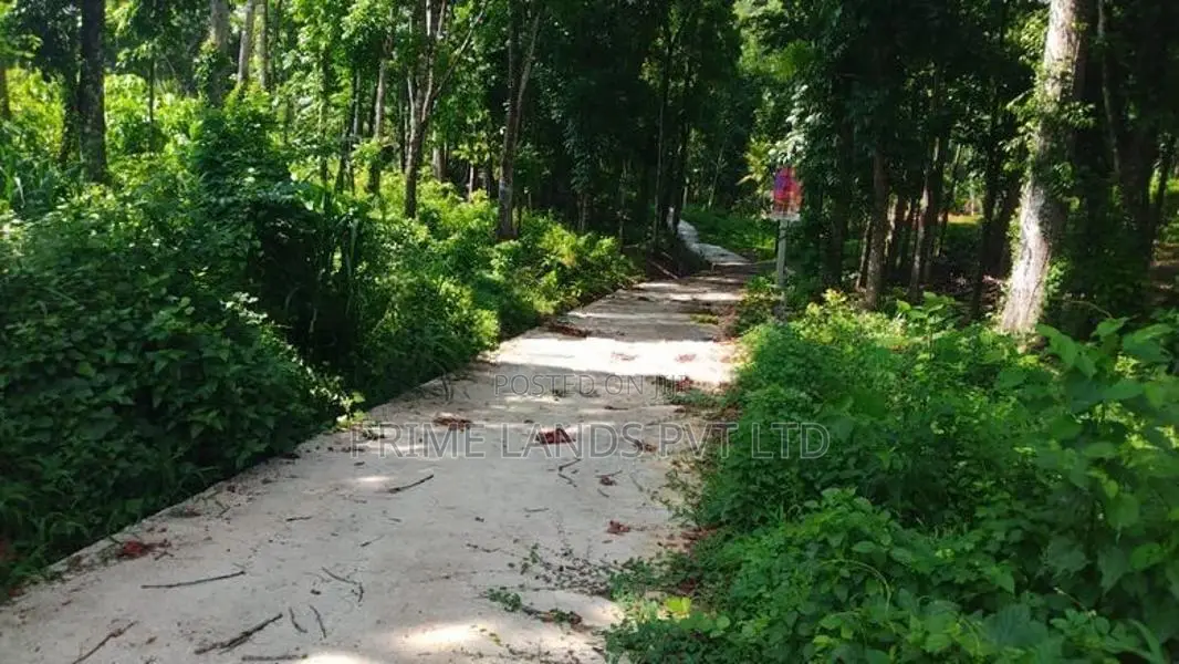 Land for Sale Nelundeiya