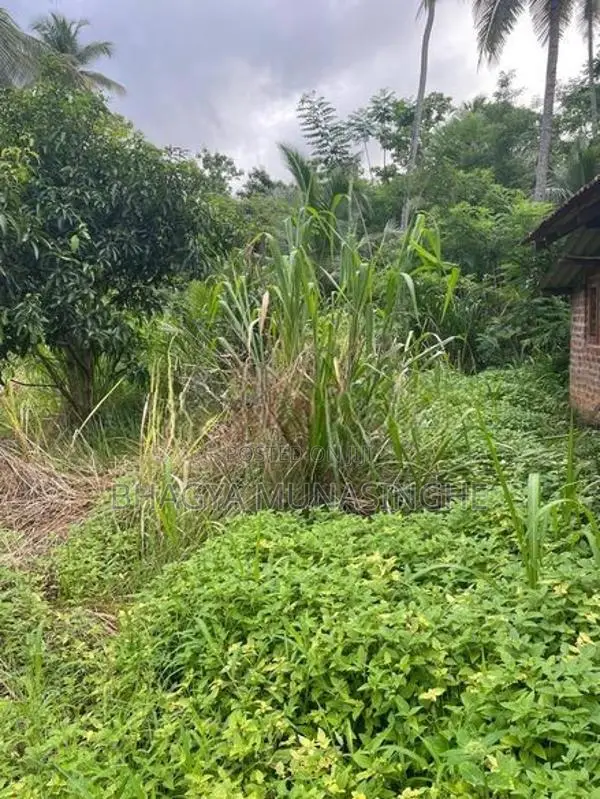 රිදීගම නගරයට ආසන්න අක්කර 2යි පර්චස් 55ක ඉඩමක් විකිණීමට