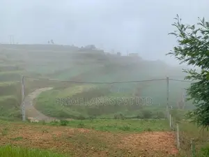 Land for Sale Ambewela