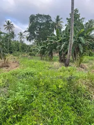 රිදීගම නගරයට ආසන්න අක්කර 2යි පර්චස් 55ක ඉඩමක් විකිණීමට
