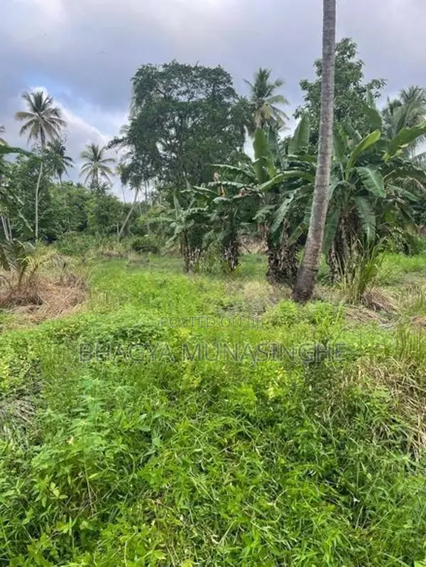 රිදීගම නගරයට ආසන්න අක්කර 2යි පර්චස් 55ක ඉඩමක් විකිණීමට