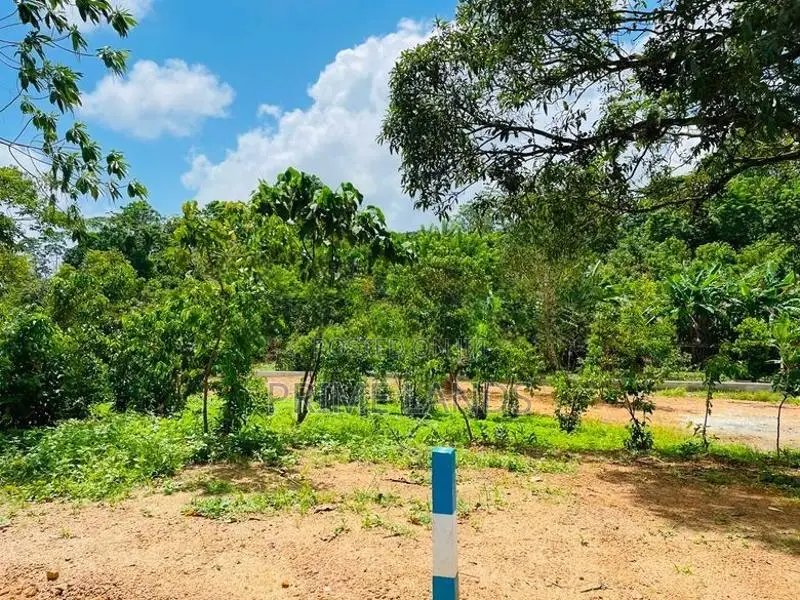 අම්බලන්ගොඩින් බිම් කොටස්