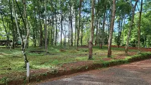දිවුලපිටිය කුරුණෑගල පහ පාරට ලගින් ඉඩමක්