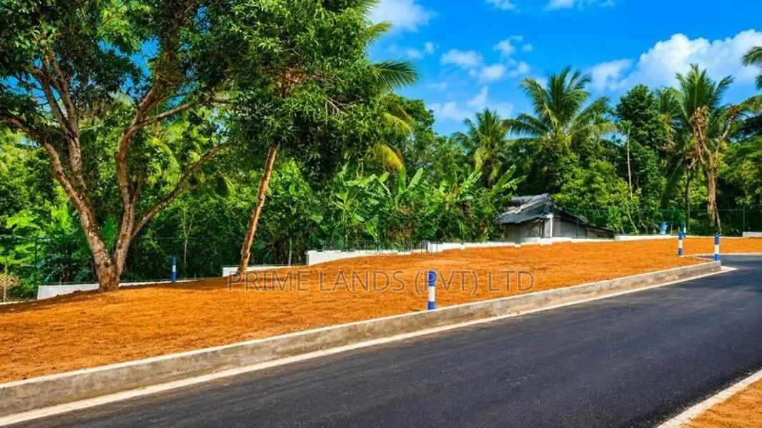 කඩවත ඉඩමක් විකිණීමට