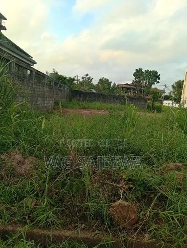 Land for Sale Seeduwa Village Colombo Main Road 100M Facing