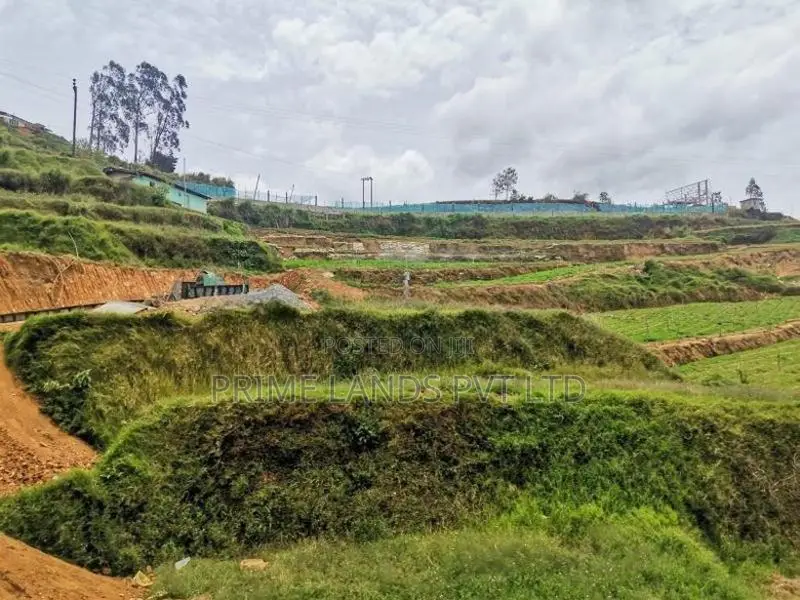 Land for Sale Ambewela