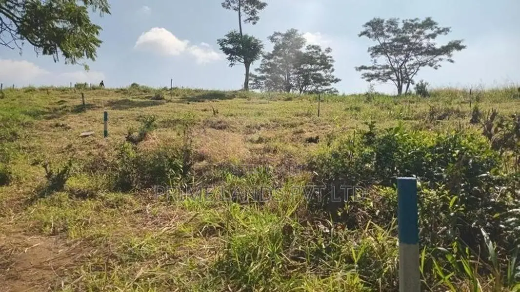 Beautiful Land for Sale Pussellawa