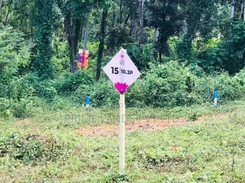 Land for Sale Nelundeiya