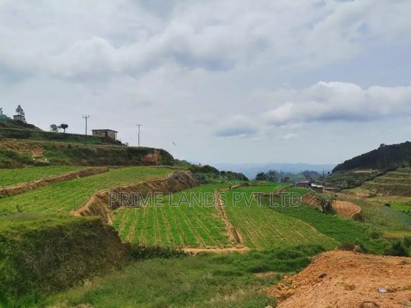 Land for Sale Ambewela