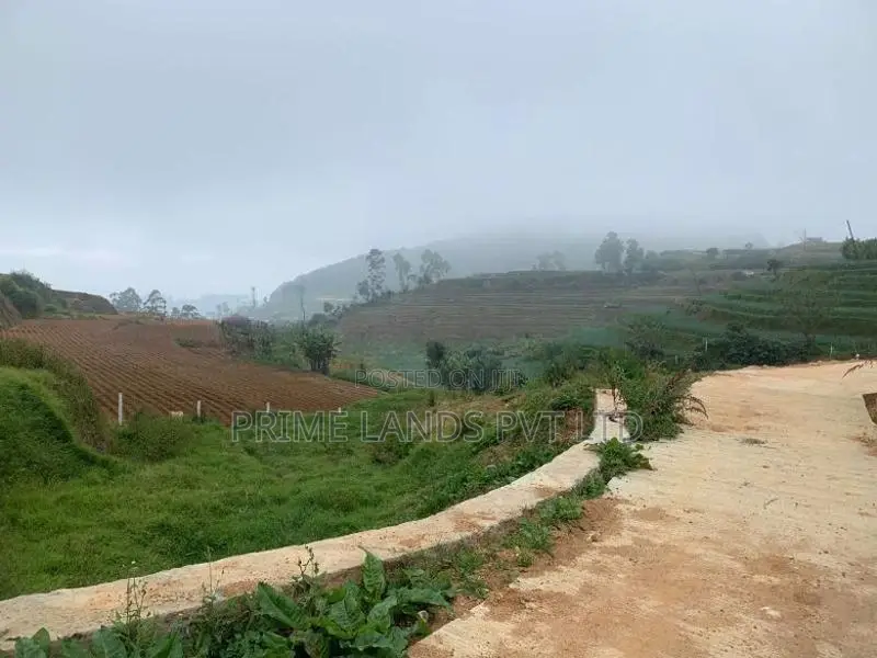 Land for Sale Ambewela