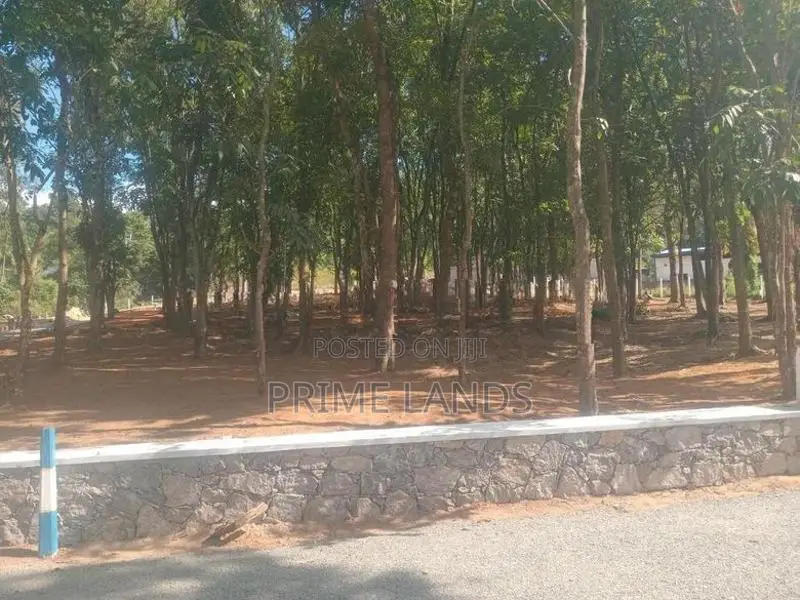 වටිනා මහෝ ගනී ඉඩම් පිලියන්දල නගර සීමාවෙන්