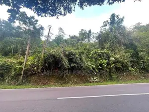 රත්නපුර ඉඩමක් විකිණීමට
