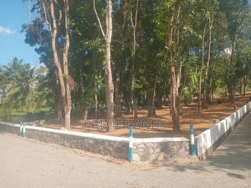 වටිනා මහෝ ගනී ඉඩම් පිලියන්දල නගර සීමාවෙන්
