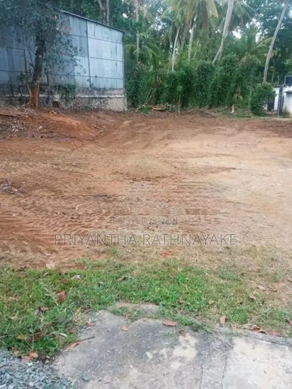 මොණරාගල නගරයේ අගනා ඉඩමක් විකීණීමට