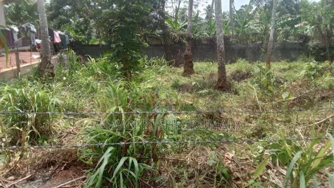 Land For Sale Boragodawatte