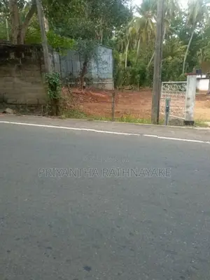 මොණරාගල නගරයේ අගනා ඉඩමක් විකීණීමට