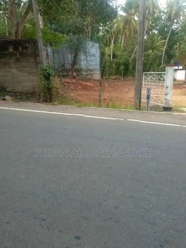 මොණරාගල නගරයේ අගනා ඉඩමක් විකීණීමට