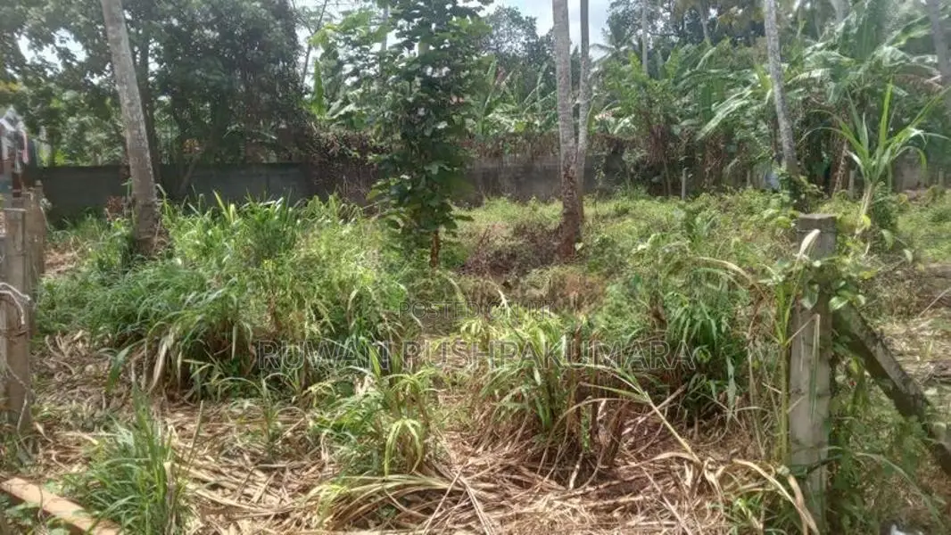 Land For Sale Boragodawatte
