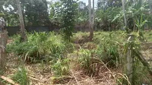 Land For Sale Boragodawatte