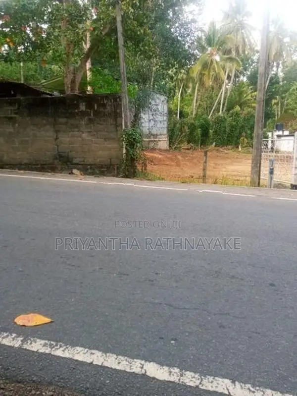 මොණරාගල නගරයේ අගනා ඉඩමක් විකීණීමට
