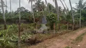 Land For Sale Boragodawatte
