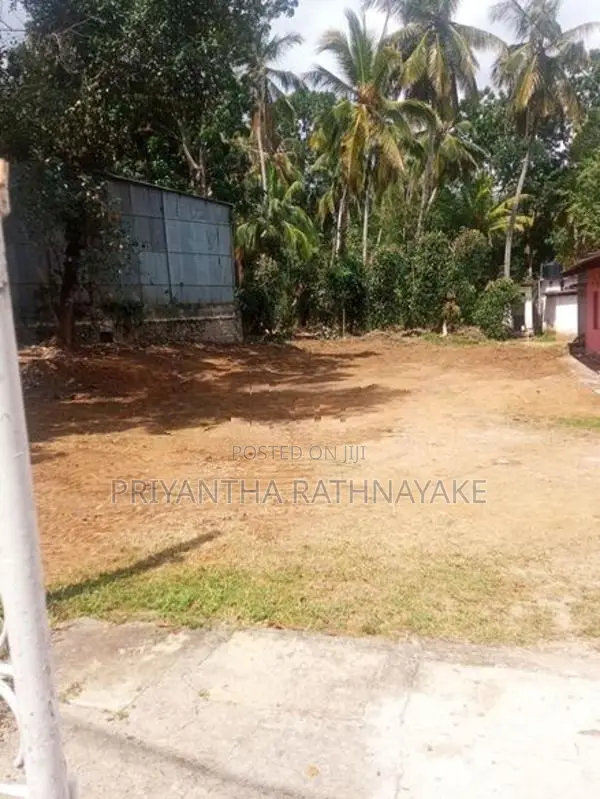 මොණරාගල නගරයේ අගනා ඉඩමක් විකීණීමට