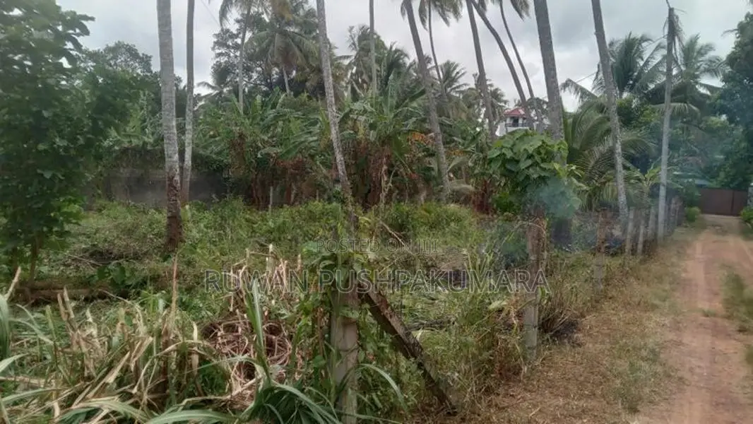 Land For Sale Boragodawatte
