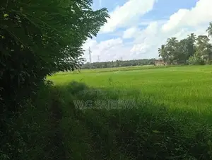 Land for Sale in Opatha, Seeduwa
